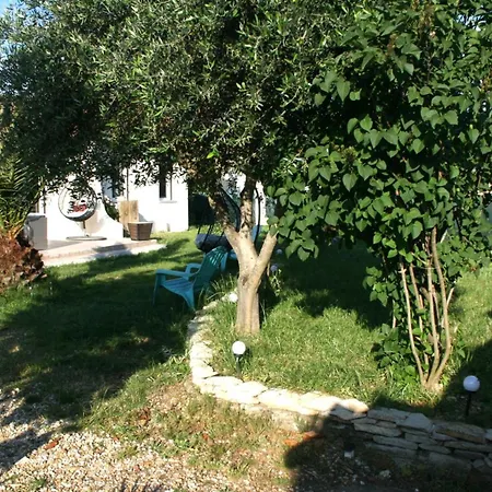 Moderne Grande Piscine Clim Calme